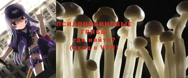 COCAINE Гусев
