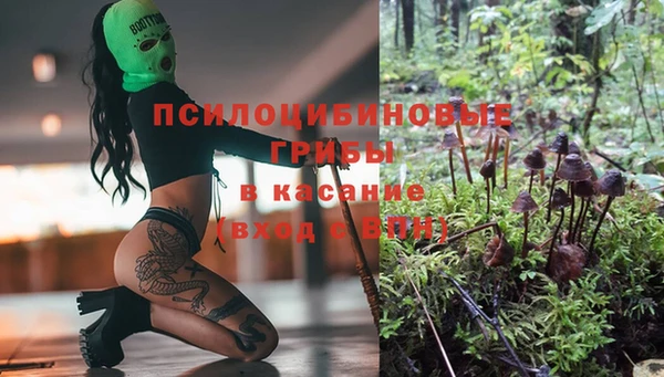 COCAINE Гусев