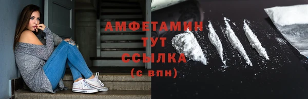 прущие грибы Гусь-Хрустальный
