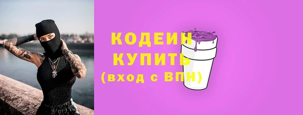 прущие грибы Гусь-Хрустальный
