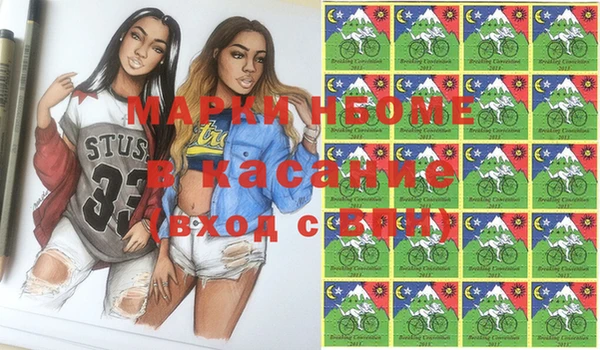 прущие грибы Гусь-Хрустальный