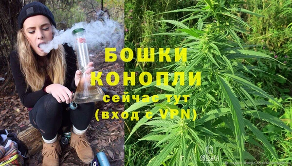 прущие грибы Гусь-Хрустальный
