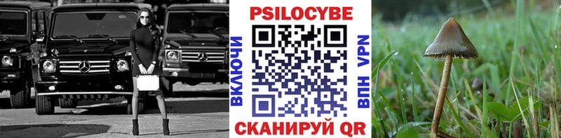 Галлюциногенные грибы Psilocybine cubensis  kraken как войти  Артём 